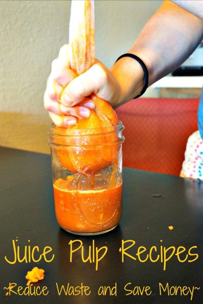 Juice Pulp Recipes