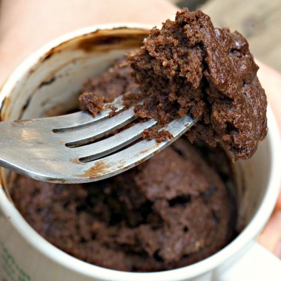 Chocolate Mug Cake (GAPS, Paleo, Nut-Free)