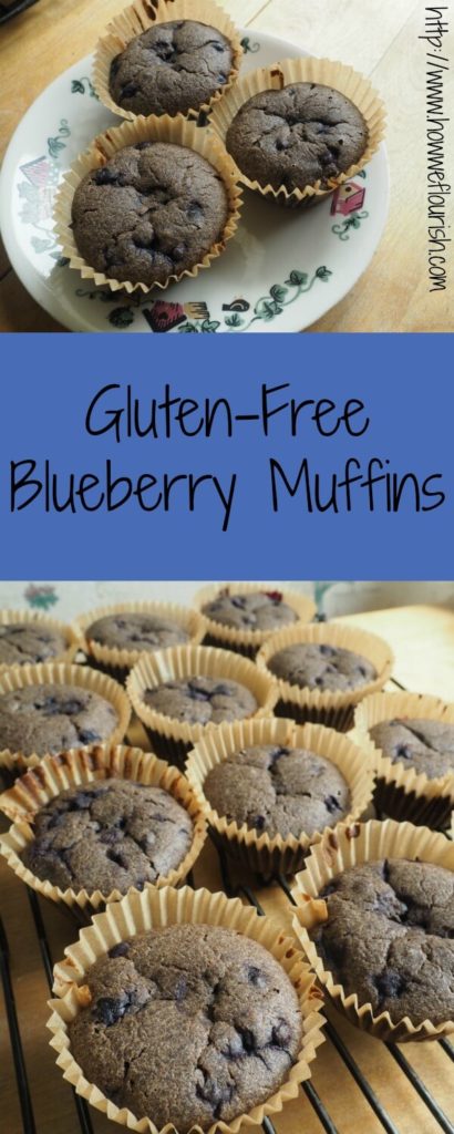 Soaked Gluten Free Blueberry Muffins