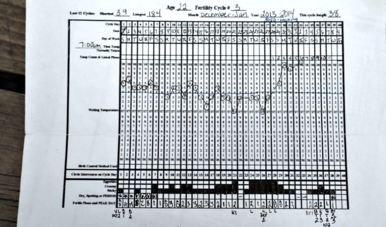 Cycle 3 - NFP Charting Series | How We Flourish